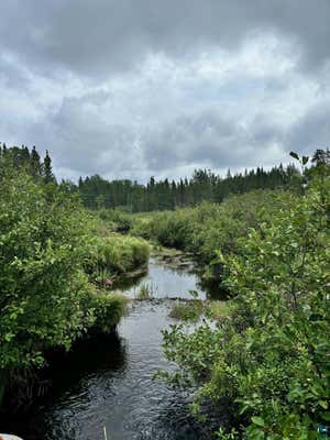 23XX LIMA GRADE, GRAND MARAIS, MN 55604, photo 5 of 35