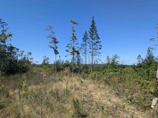 LOT 1 PETERSON HILL RD, BAYFIELD, WI 54814 - Image 1