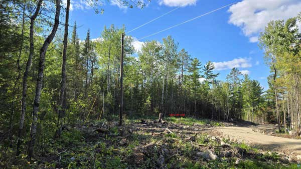 XX13.7 CRANE LAKE RD, CRANE LAKE, MN 55725 - Image 1