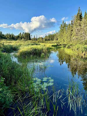 23XX LIMA GRADE, GRAND MARAIS, MN 55604, photo 2 of 35