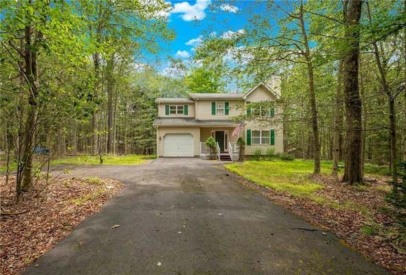 251 DEPUY DR, POCONO LAKE, PA 18347 - Image 1