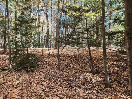 MONGUL CIRCLE LOT 25, POCONO TWP, PA 18332 - Image 1