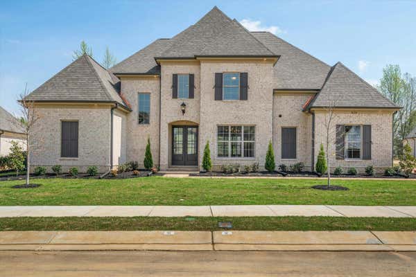 828 CYPRESS ROCK CV, COLLIERVILLE, TN 38017 - Image 1