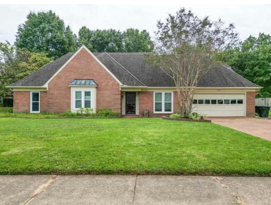 569 AUTUMN RUN DR, COLLIERVILLE, TN 38017 - Image 1