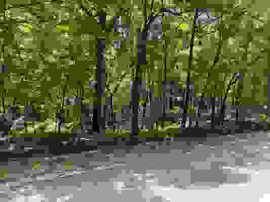 0 WILDCAT BOTTOM RD, RED BANKS, MS 38661, photo 1 of 2