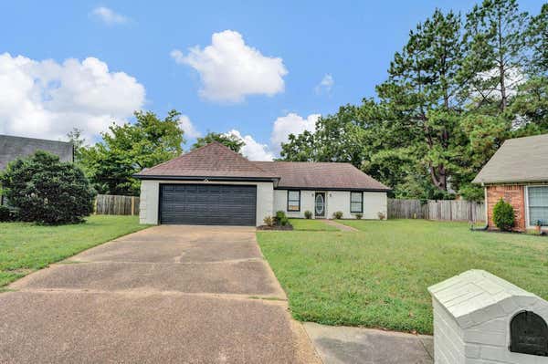 6531 GOLDENEYE DR, MEMPHIS, TN 38141 - Image 1