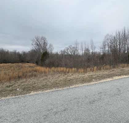 0 COUNTY LAKE RD, TRENTON, TN 38382, photo 1 of 4