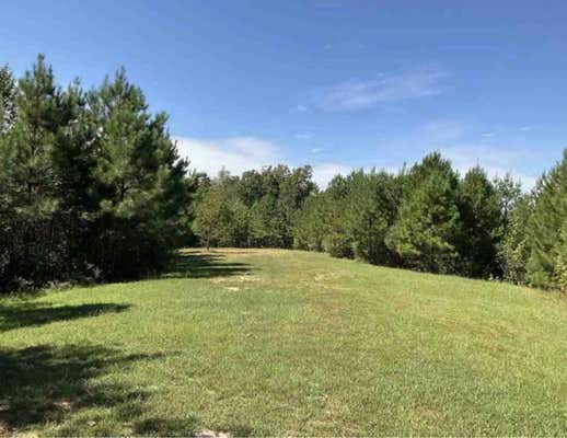 00 COUNTRY CLUB RD, SOMERVILLE, TN 38068 - Image 1