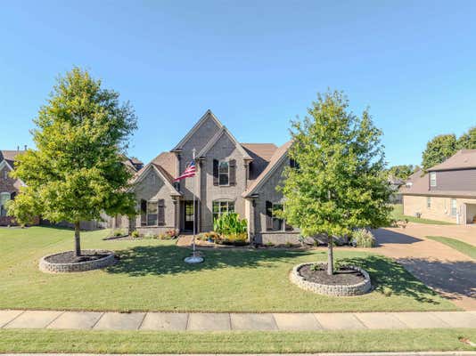 226 ESTANAULA RD, COLLIERVILLE, TN 38017 - Image 1