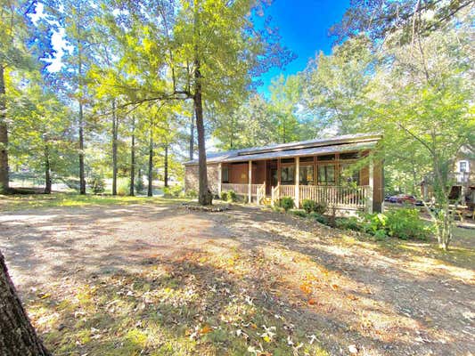 51 GOLFERS LOOP, COUNCE, TN 38326 - Image 1