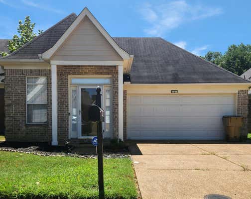 6843 KERRI VALLEY LN, CORDOVA, TN 38018 - Image 1