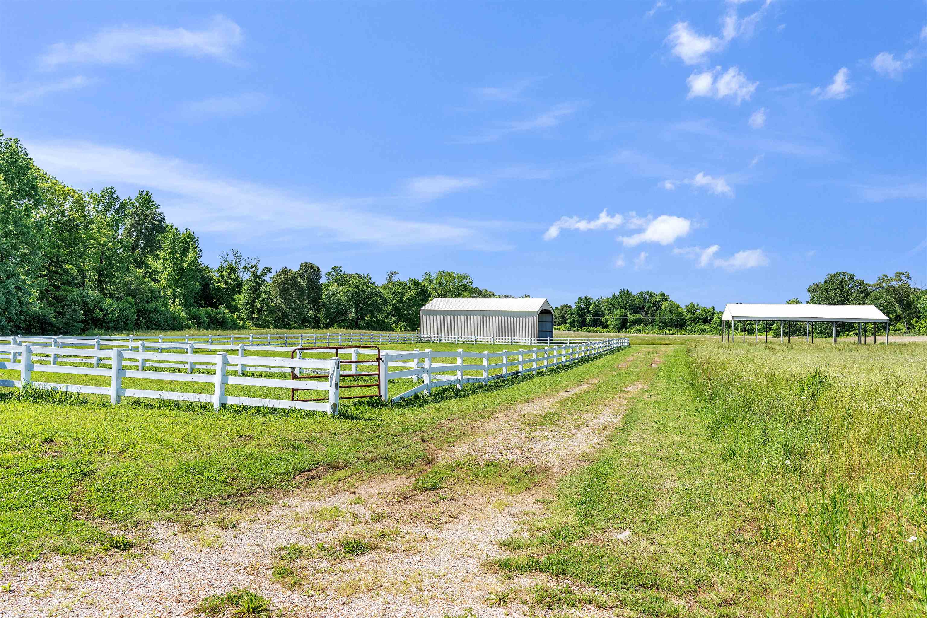 Hickory Valley, Tennessee, 38042, United States, ,3 BathroomsBathrooms,Residential,Active,1831827