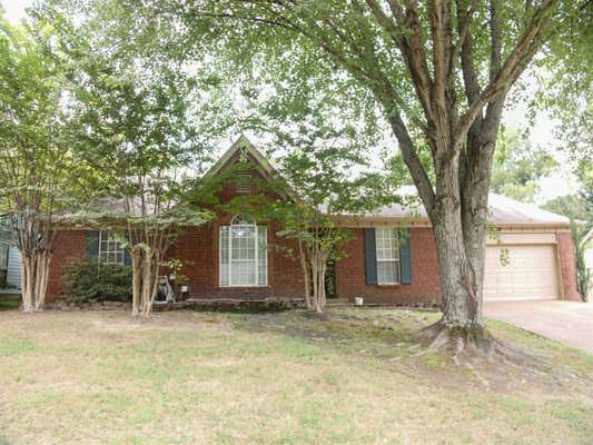 4017 GOUVERNEUR ST, MEMPHIS, TN 38135 - Image 1