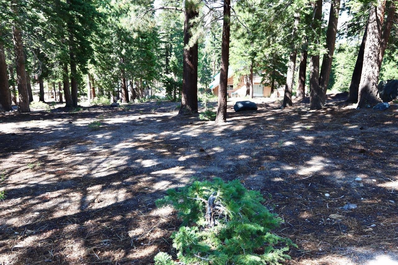 Mammoth Lakes, California, 93546, United States, ,3 BathroomsBathrooms,Residential,Active,1880356