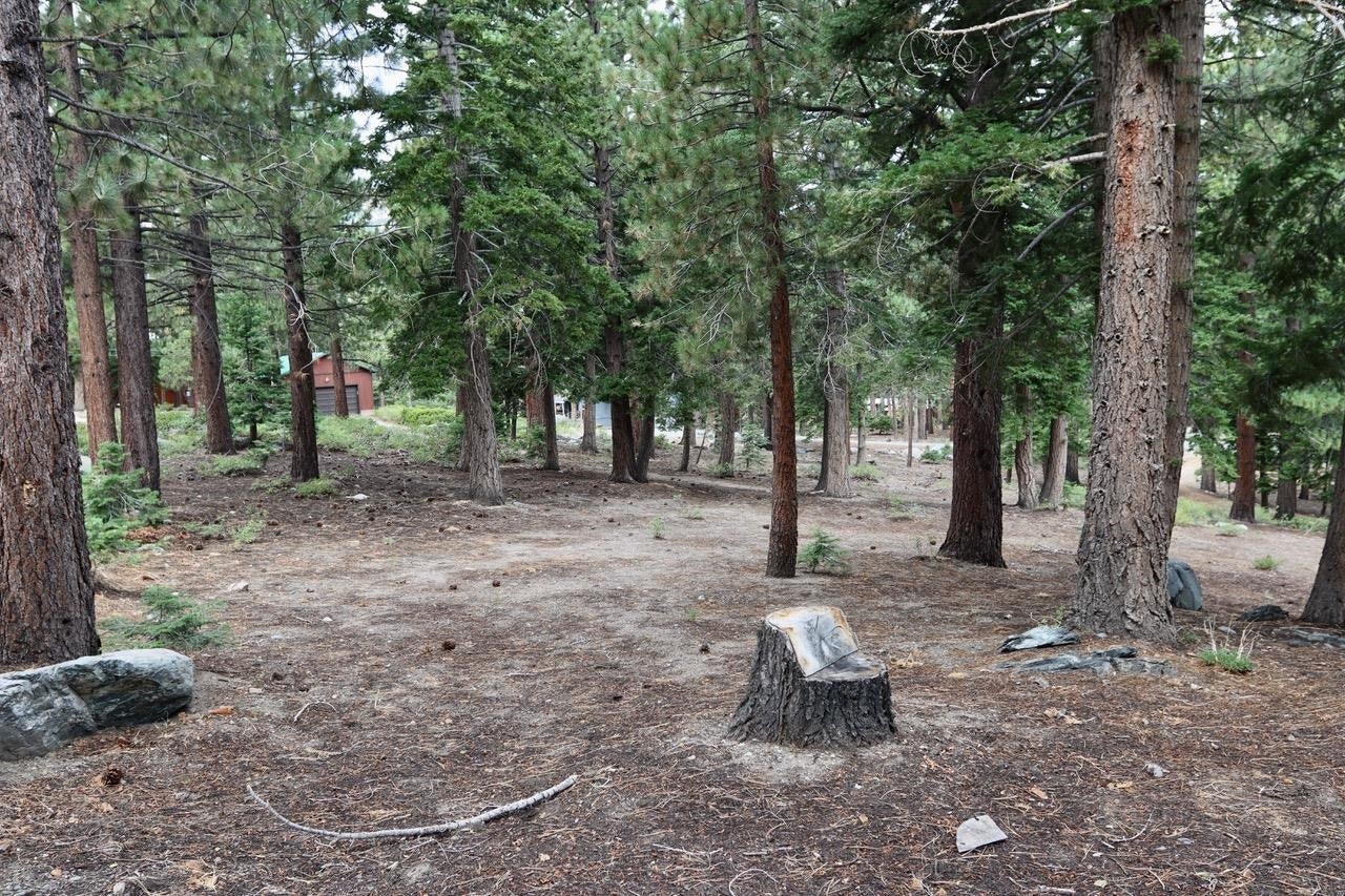 Mammoth Lakes, California, 93546, United States, ,3 BathroomsBathrooms,Residential,Active,1880356