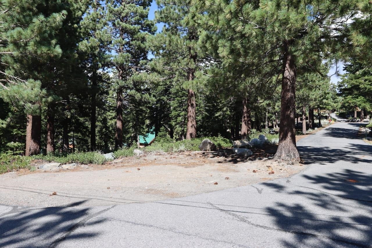 Mammoth Lakes, California, 93546, United States, ,3 BathroomsBathrooms,Residential,Active,1880356