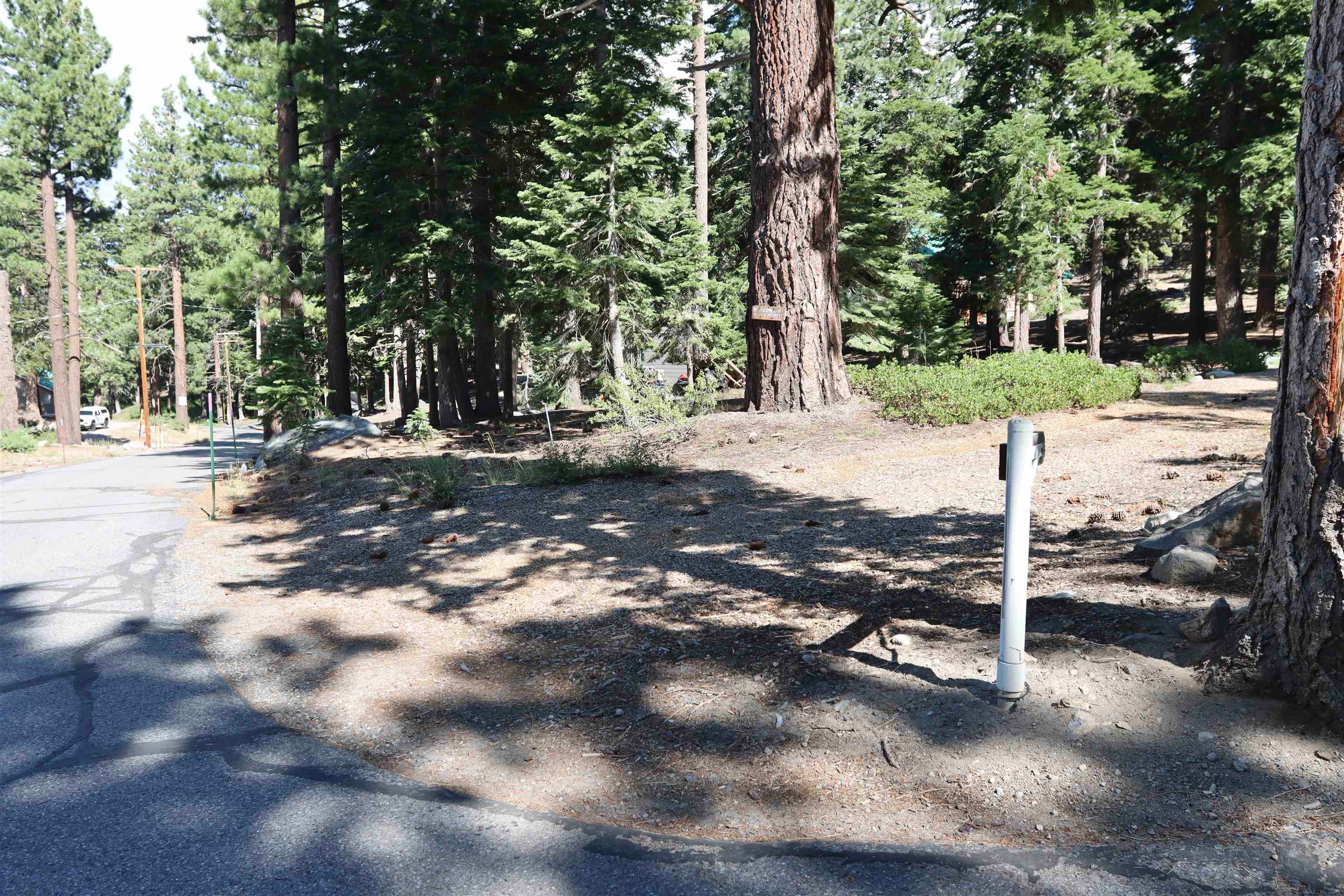 Mammoth Lakes, California, 93546, United States, ,3 BathroomsBathrooms,Residential,Active,1880356