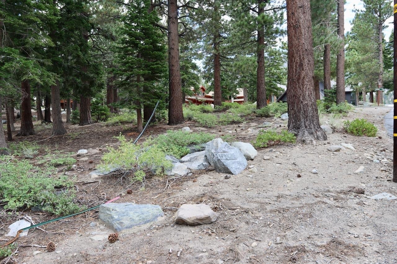 Mammoth Lakes, California, 93546, United States, ,3 BathroomsBathrooms,Residential,Active,1880356