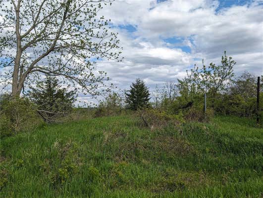 9.75 ACRES YANKEE AVENUE, LOWDEN, IA 52255, photo 3 of 7