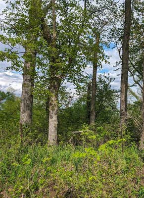 9.75 ACRES YANKEE AVENUE, LOWDEN, IA 52255, photo 2 of 7