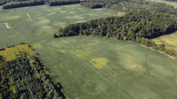 0 STATE ROUTE 529, CARDINGTON, OH 43315, photo 3 of 31