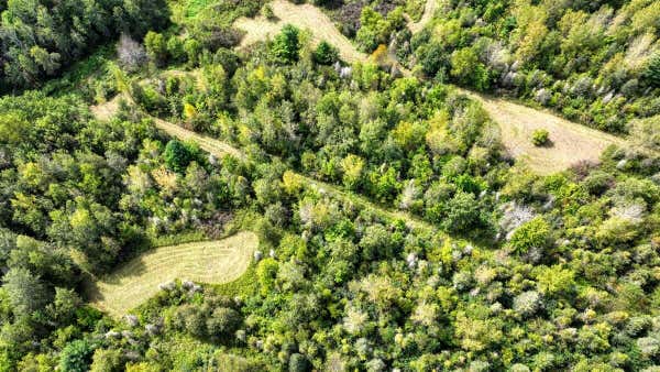 N48025 COUNTY ROAD B, KNAPP, WI 54749 - Image 1