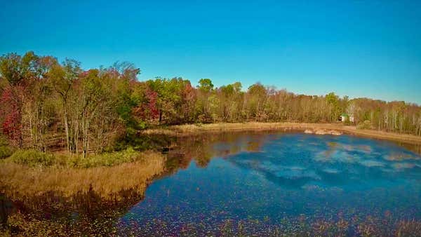 LT0 DEER LAKE RD, CRIVITZ, WI 54114 - Image 1