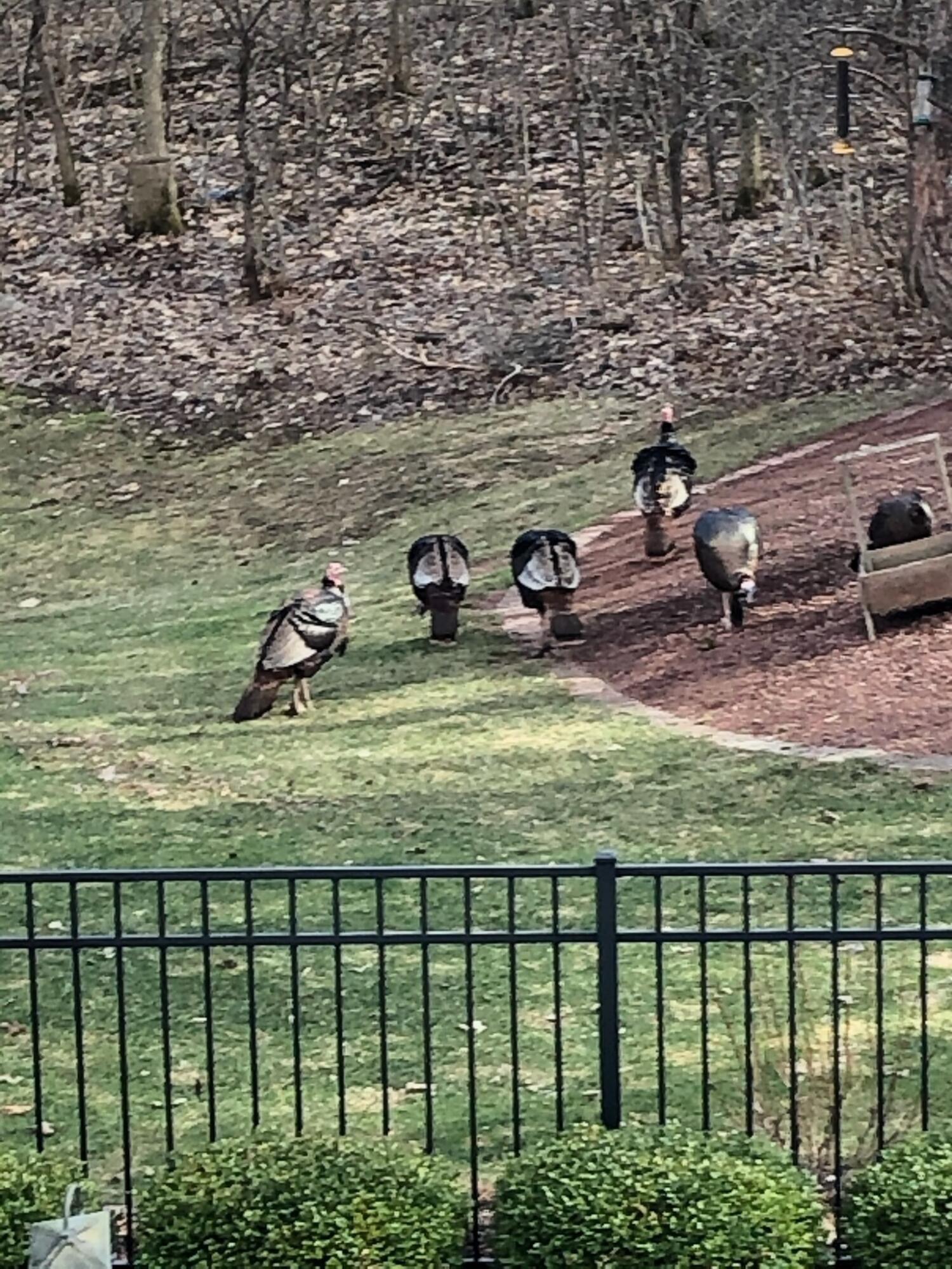 Slinger, Wisconsin, 53086, United States, 5 Bedrooms Bedrooms, ,4 BathroomsBathrooms,Residential,Active,2011435