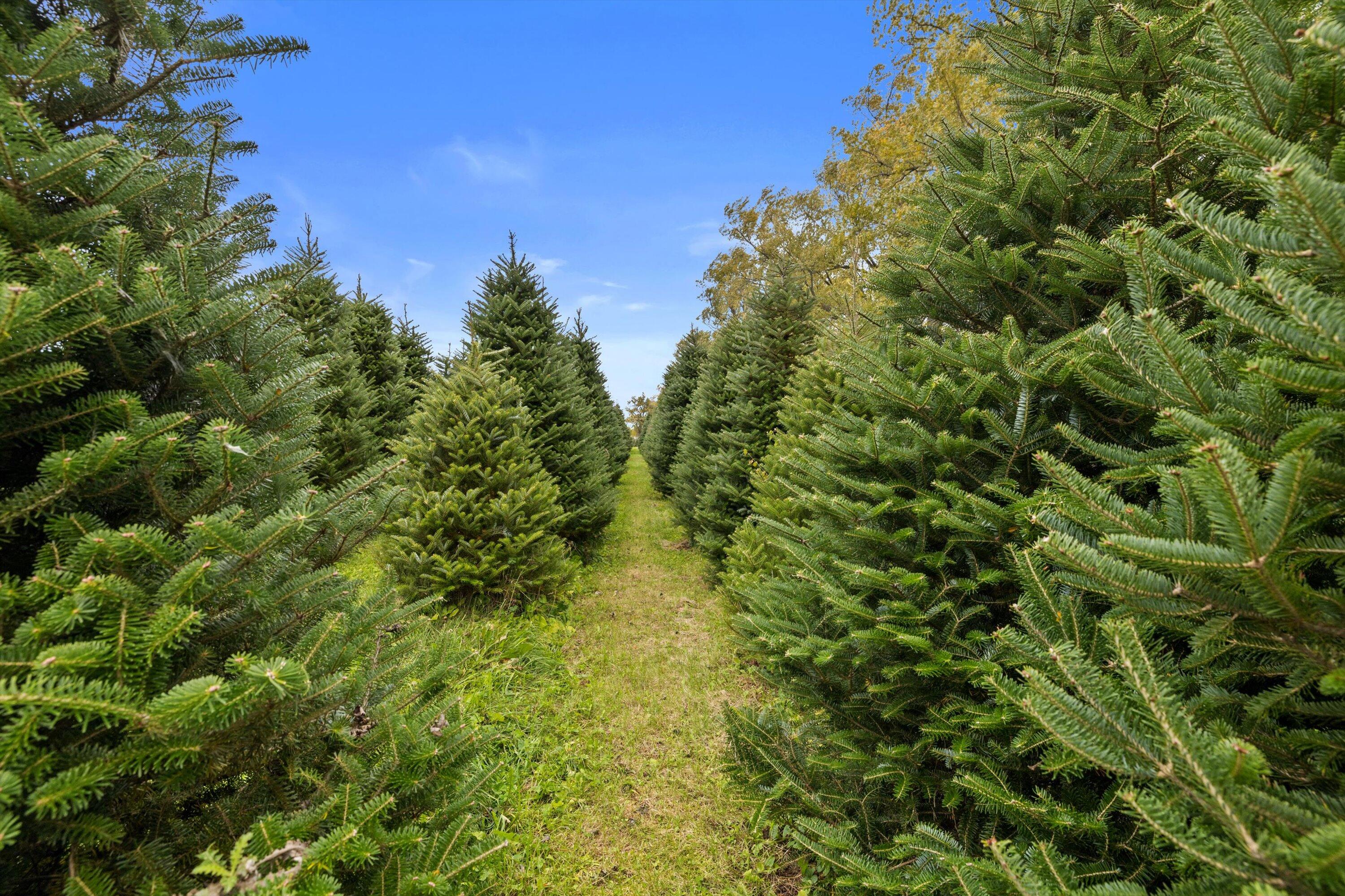 East Troy, Wisconsin, 53120, United States, 4 Bedrooms Bedrooms, ,3 BathroomsBathrooms,Residential,Active,1969679