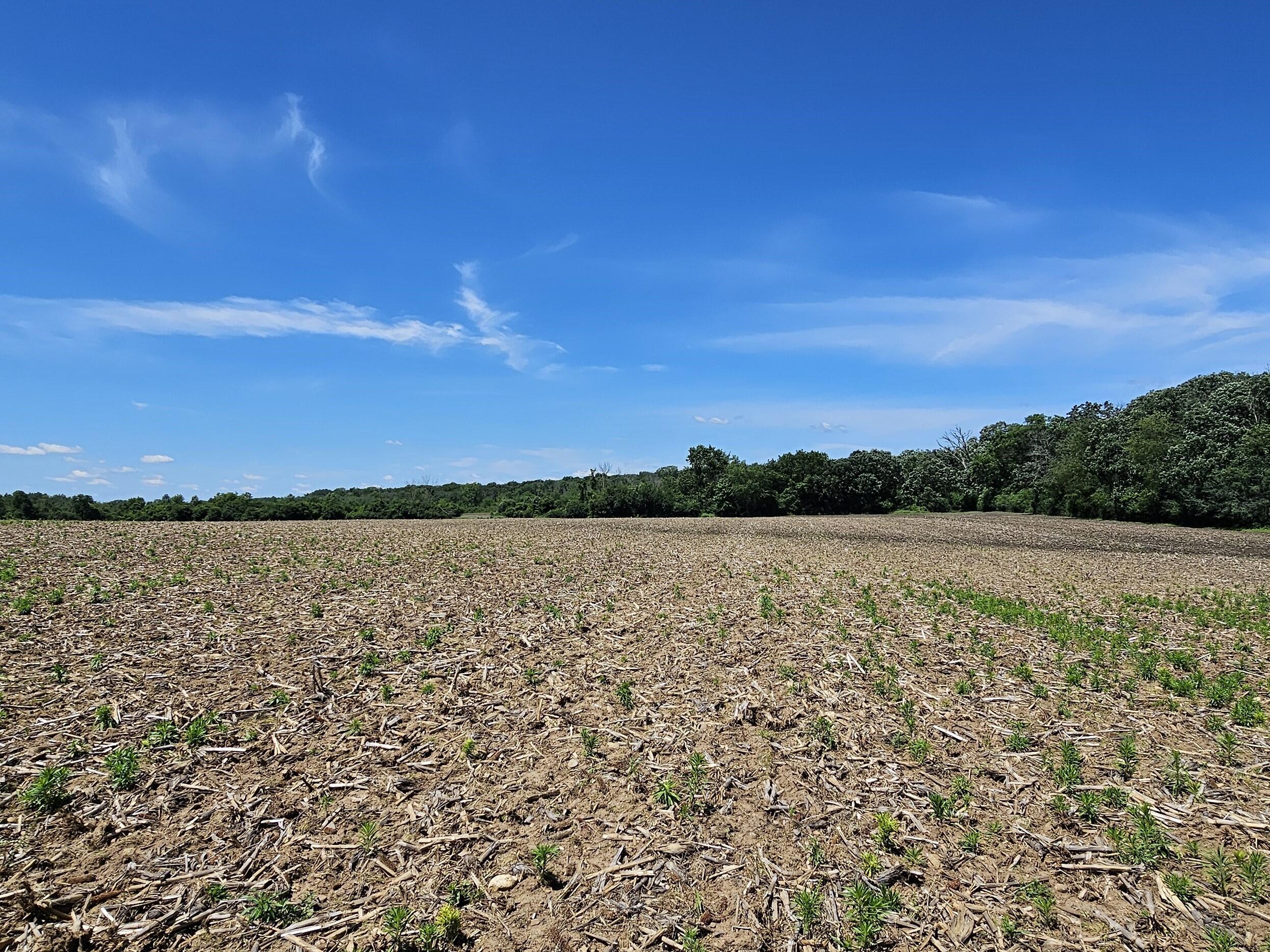 Big Bend, Wisconsin, 53103, United States, ,2 BathroomsBathrooms,Residential,Active,1704509