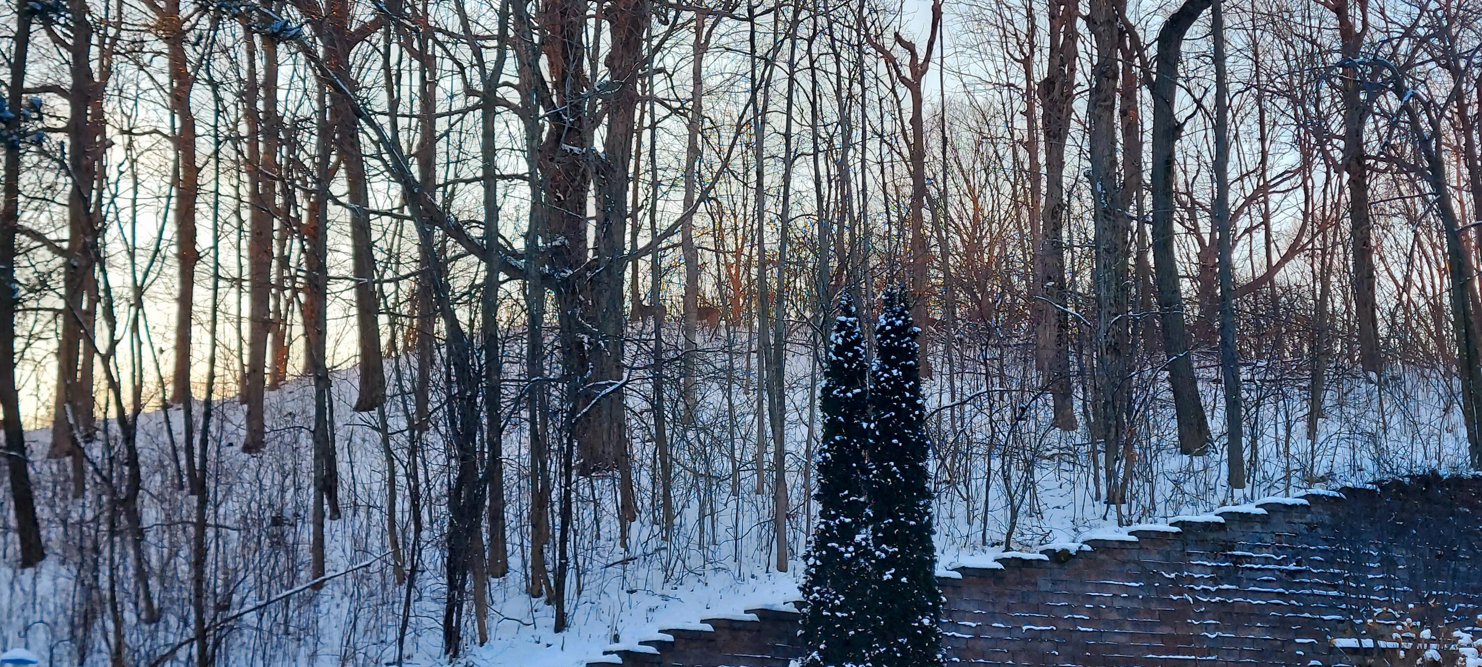 Slinger, Wisconsin, 53086, United States, 5 Bedrooms Bedrooms, ,4 BathroomsBathrooms,Residential,Active,2011435