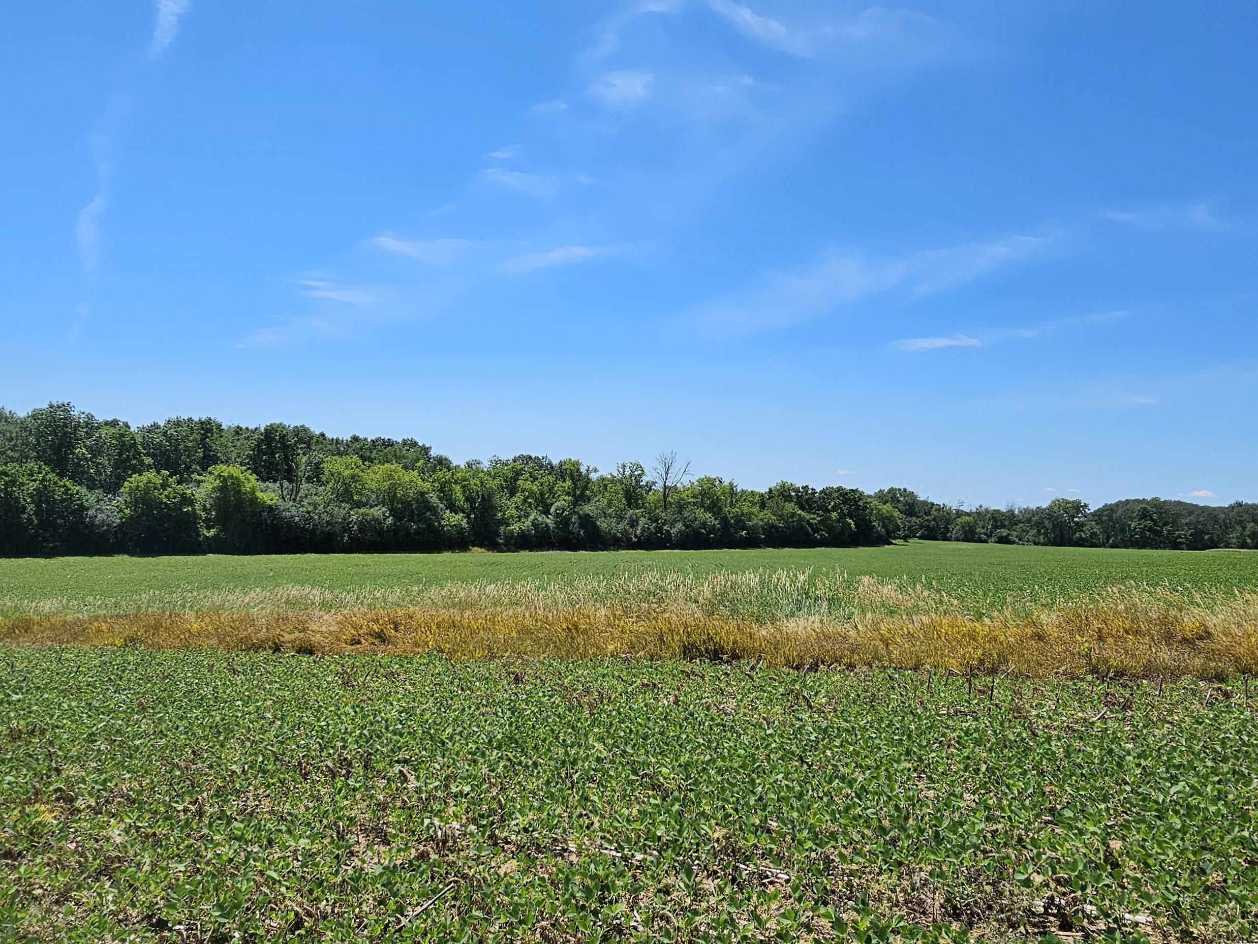 Big Bend, Wisconsin, 53103, United States, ,2 BathroomsBathrooms,Residential,Active,1704509