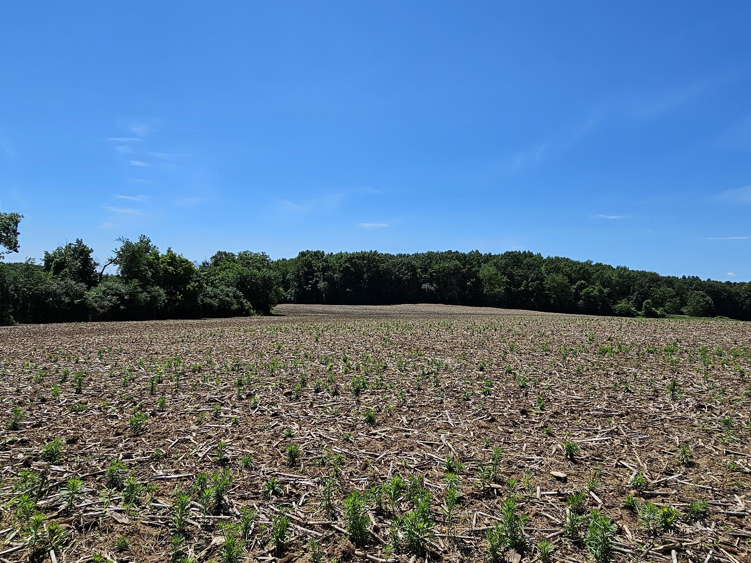 Big Bend, Wisconsin, 53103, United States, ,2 BathroomsBathrooms,Residential,Active,1704509