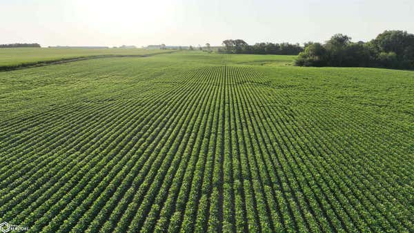 187TH ROAD, MINBURN, IA 50167, photo 5 of 34