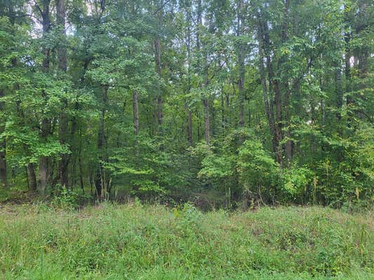 LOT 29 RIVER OAK DR., EATONTON, GA 31024, photo 2 of 3