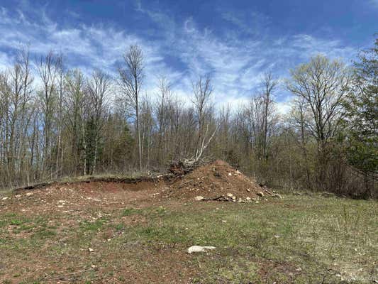 LOT 1 PALMS, BESSEMER, MI 49911 - Image 1