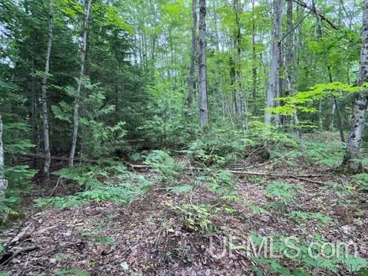 TBD ASUMAA, ATLANTIC MINE, MI 49905 - Image 1