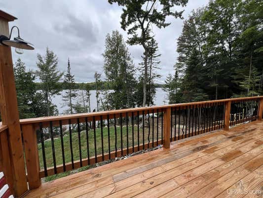 161 PORTER LAKE RD, AMASA, MI 49903 - Image 1