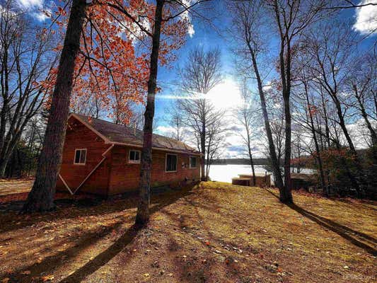 22220 PARTRIDGE LN, MICHIGAMME, MI 49861 - Image 1