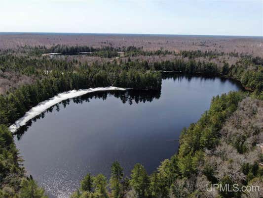 0000 NEAR OLD SENEY, SENEY, MI 49883 - Image 1