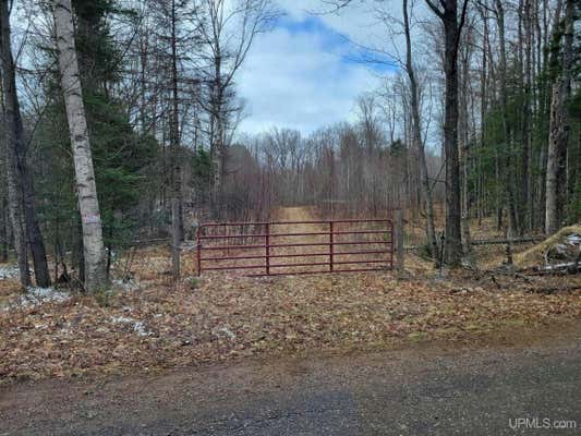 TBD FENCE RIVER, REPUBLIC, MI 49879 - Image 1