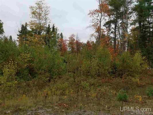 UNIT #30 N GREENWOOD LAKE, ISHPEMING, MI 49849 - Image 1