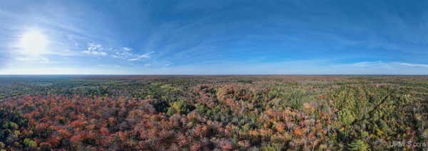 TBD STAR SIDING, SHINGLETON, MI 49884 - Image 1