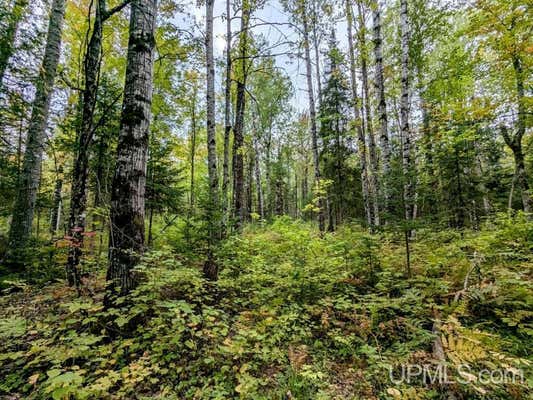 40 ACRES 45, BRUCE CROSSING, MI 49912 - Image 1