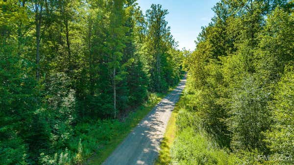 TBD DREAM LAKE RD, TIPLER-WI, WI 54542 - Image 1