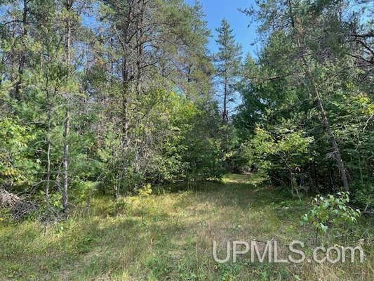 21.15 ACRES PARK FENCE, PEMBINE T-WI, WI 54156 - Image 1