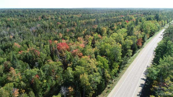 TBD CO RD 442, MANISTIQUE, MI 49854 - Image 1