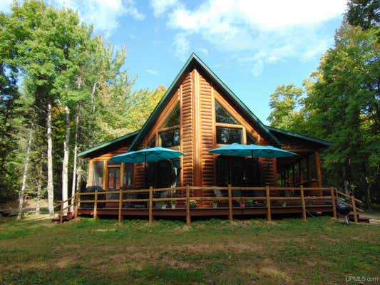 321 ROBINSON LAKE RD, TROUT CREEK, MI 49967 - Image 1