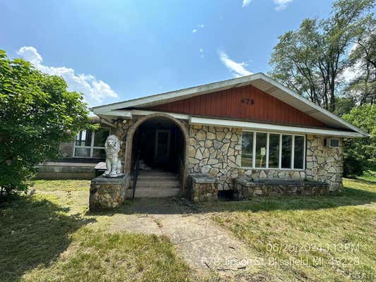 678 JIPSON ST, BLISSFIELD, MI 49228 - Image 1