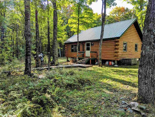 TBD FENCE RIVER, CRYSTAL FALLS, MI 49920 - Image 1